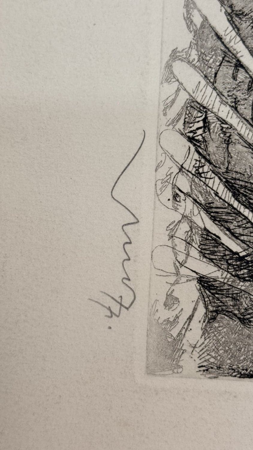 Detalle de firma — Veleros